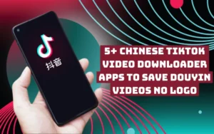 chinese tiktok video downloader