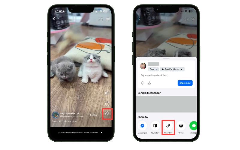Download Facebook Videos on Phone
