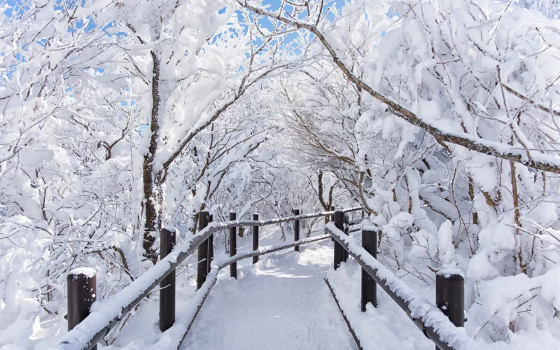 caption about winter