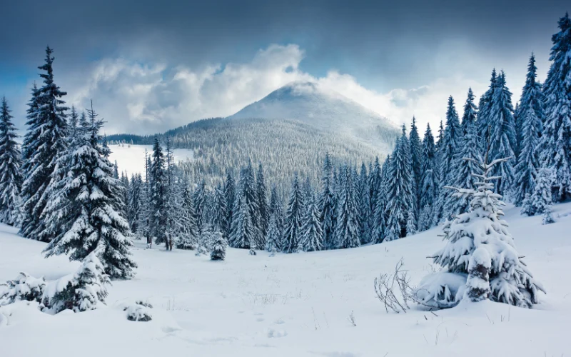 caption about winter