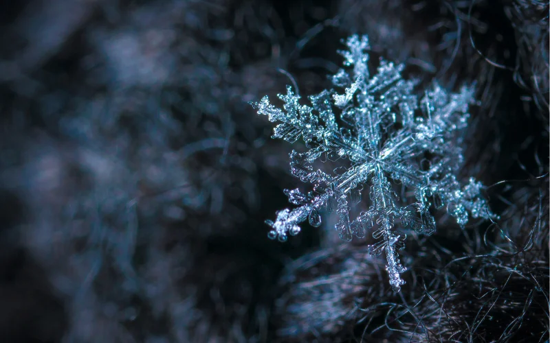 caption about winter